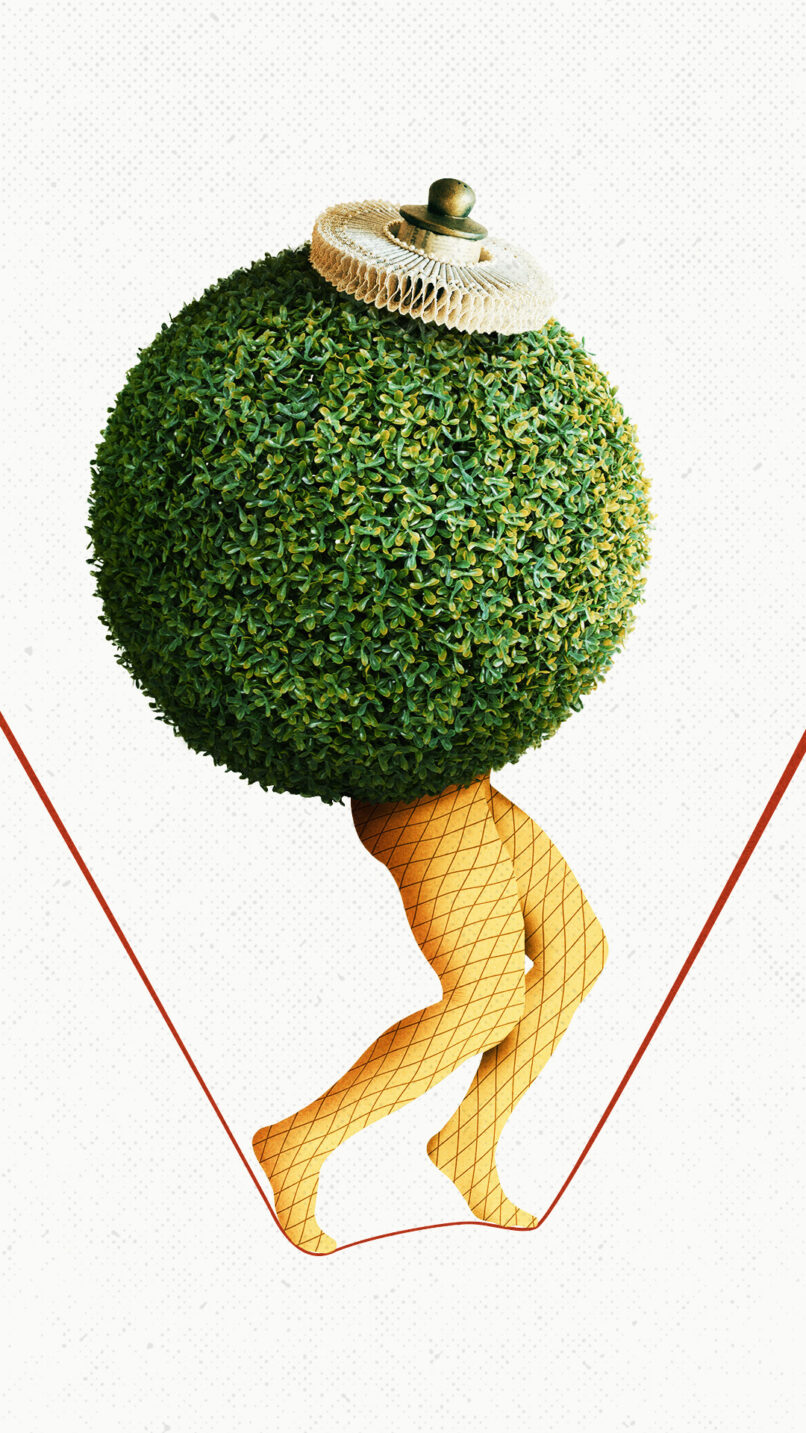 Twelfth Night Instagram Story