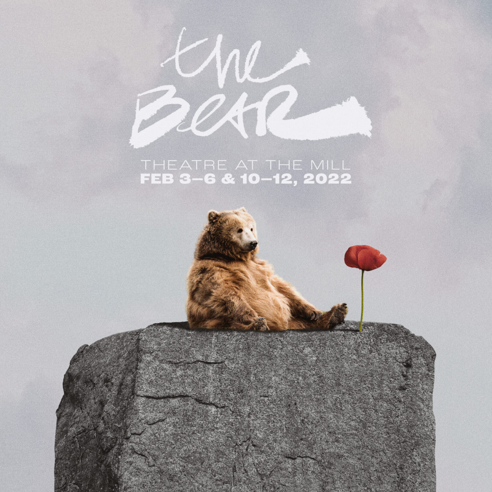 The Bear Instagram Post