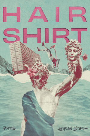 Hair Shirt Book Cover