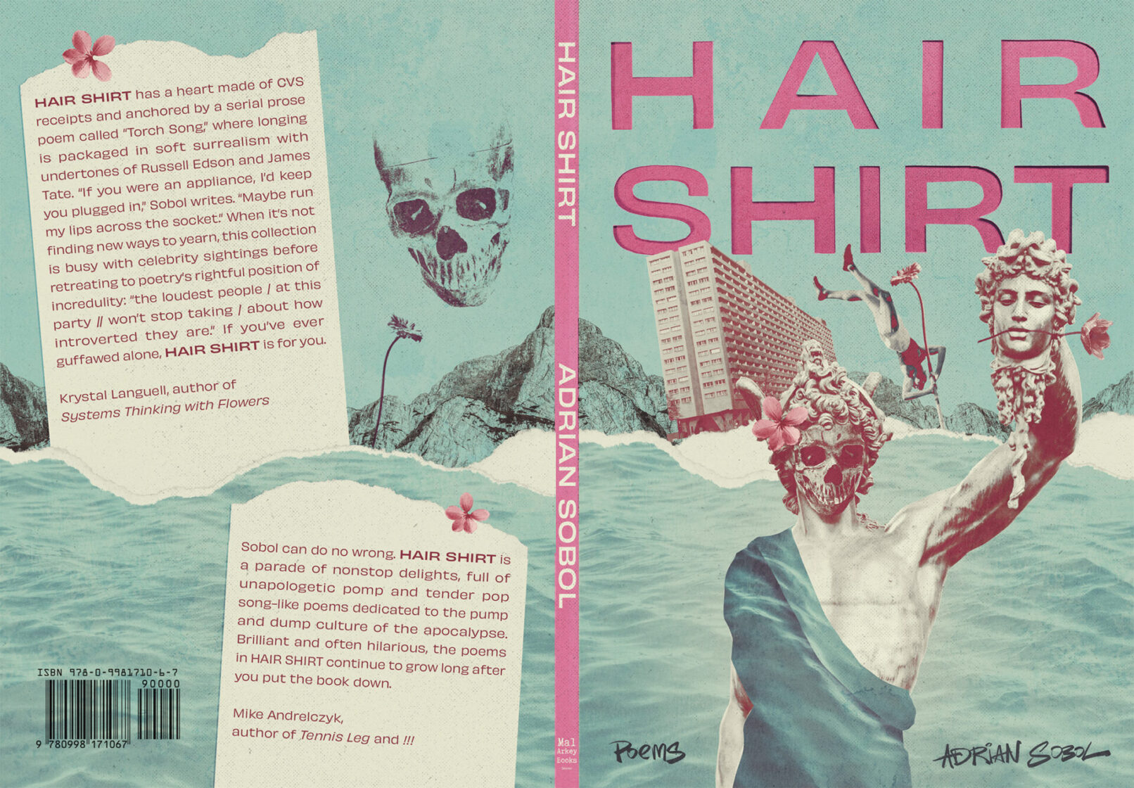 Hair Shirt Book Jacket